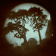 “View from Talbot’s Grave.” Pigment print from a photogenic drawing.